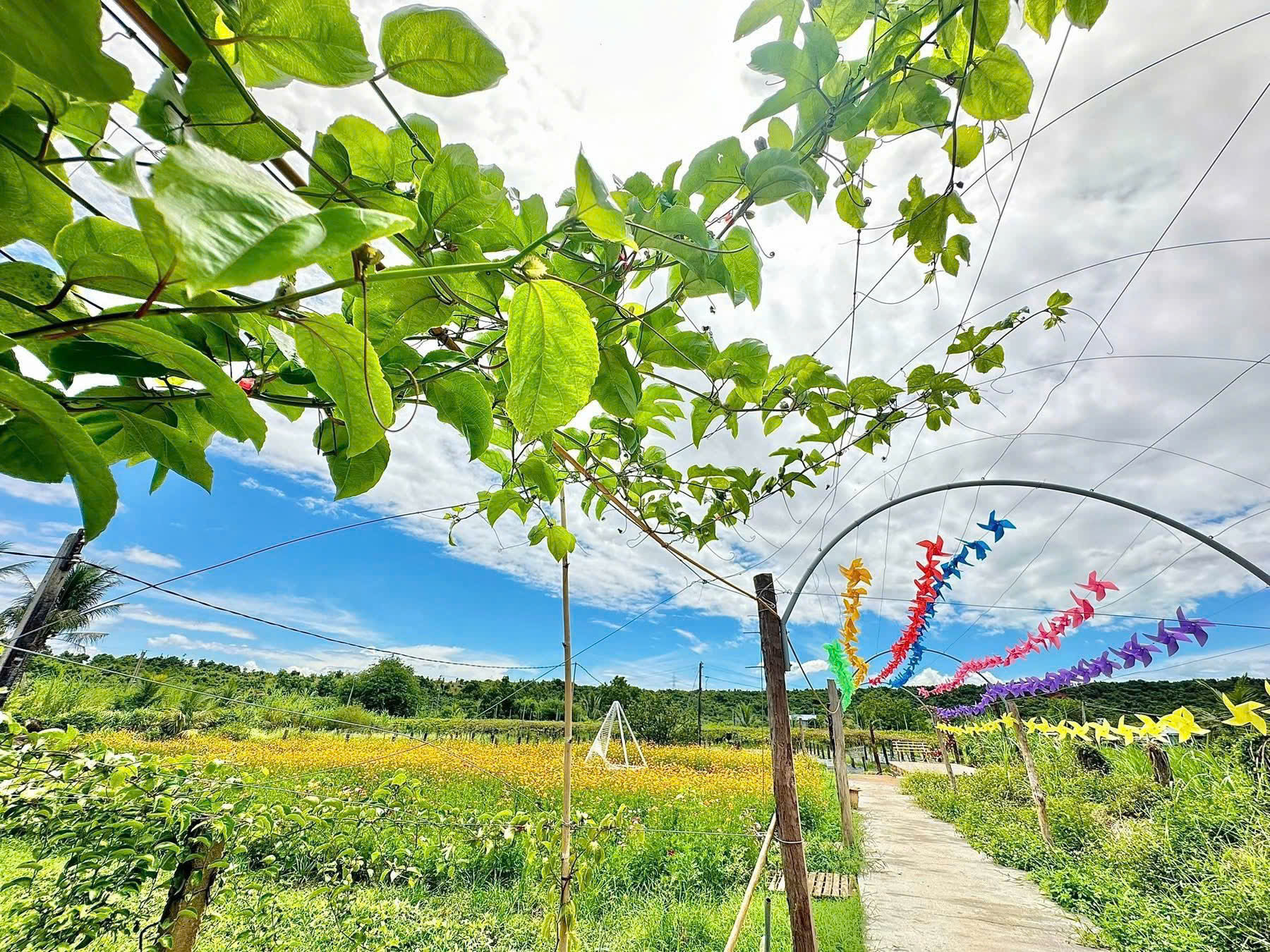 Nông dân làm du lịch sinh thái vườn