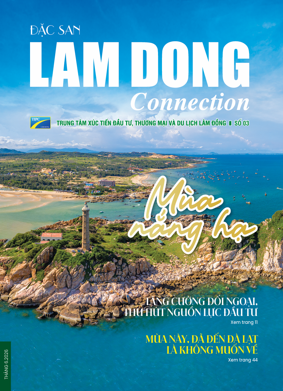lamdongconnection